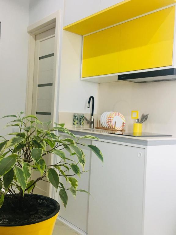 Yellow room with sea view room 4